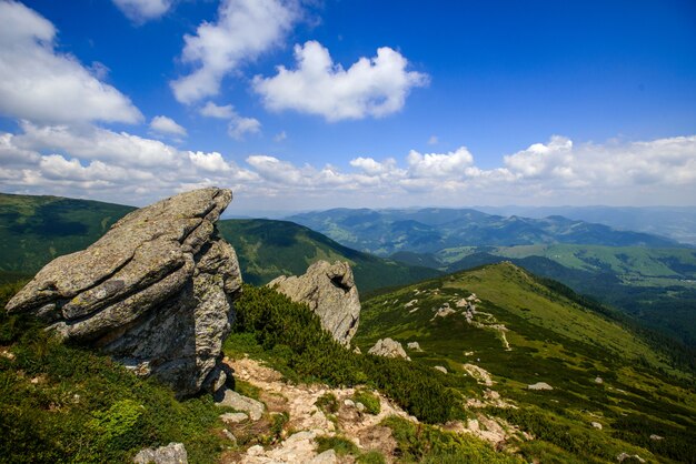 Paesaggio estivo in montagna