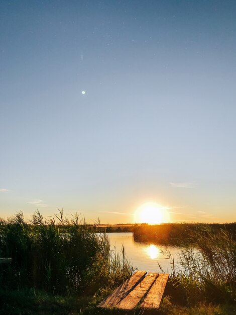 夕日の池の岸辺の夏の風景