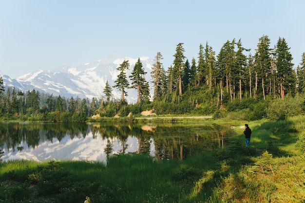 Summer Landscape Summer mountains