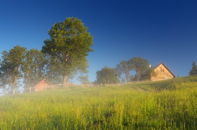 村の晴れた朝の夏の風景