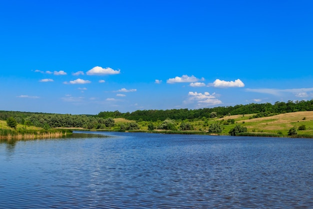 美しい湖の緑の牧草地の丘の木々と青い空と夏の風景