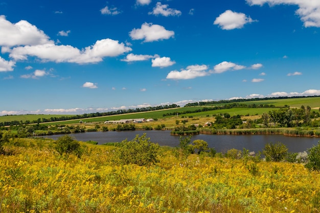 Summer landscape with beautiful lake green meadows hills trees and blue sky