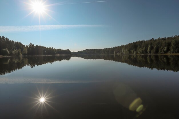 Летний пейзаж с зеленой лесной водой озера ясное небо с сияющим солнцем лучами и его отражением ...