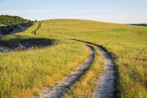 Photo summer landscape with green grass, road and trees