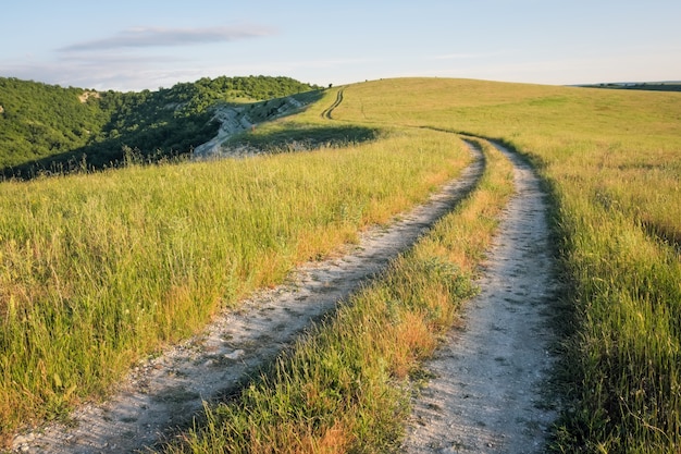 Summer landscape with green grass, road and trees