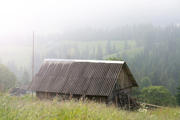 Summer landscape with a mountain village in the mist