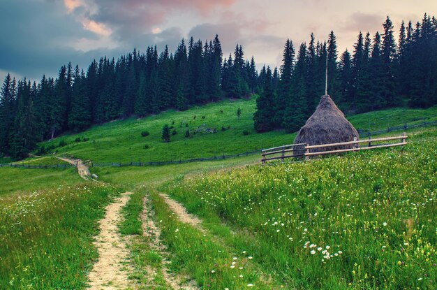 Summer landscape with mountains fir forest road and haystack in hipster vintage retro style