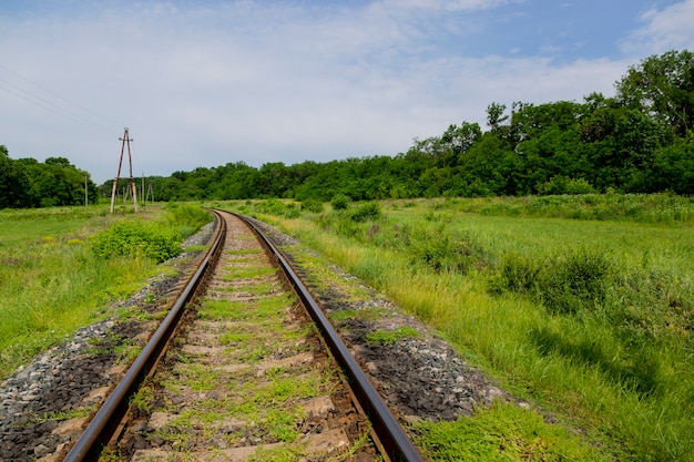 Paesaggio estivo con una ferrovia e un boschetto di querce