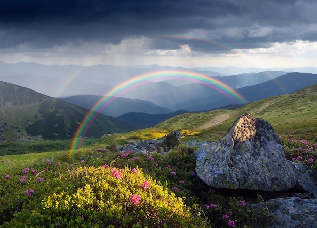 Foto paesaggio estivo con arcobaleno e fiori in montagna