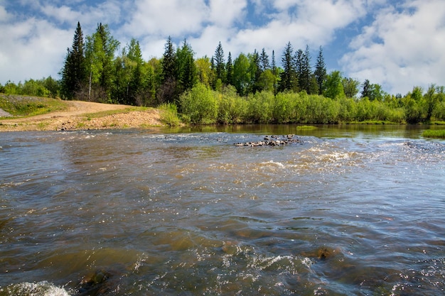 Summer landscape with a river forest and green banks under a blue sky with white clouds