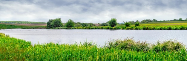 Summer landscape with river and greenery on the river banks in cloudy weather