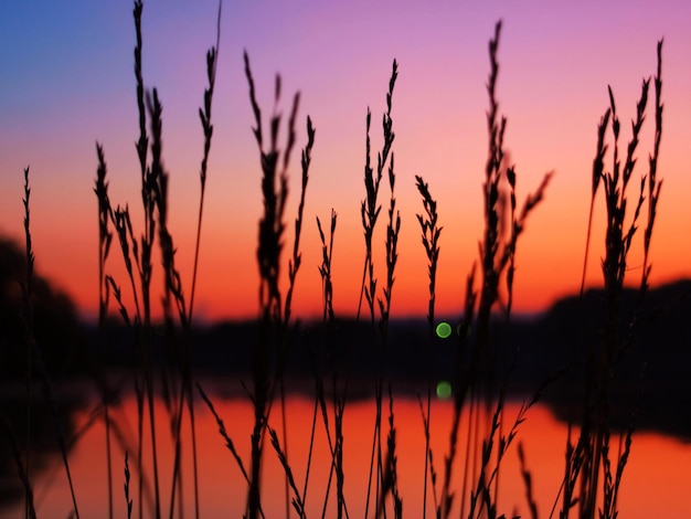 夕日の川と夏の風景画像