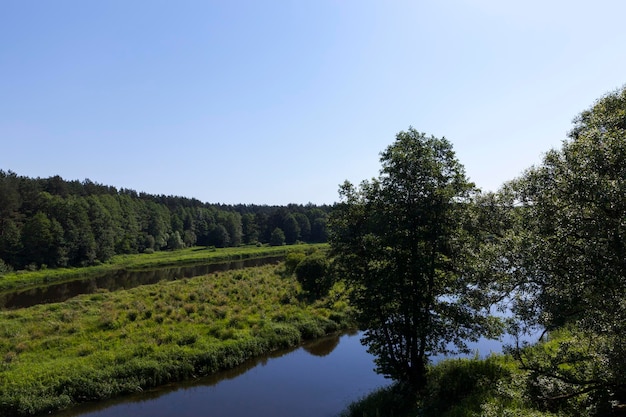 A summer landscape with river