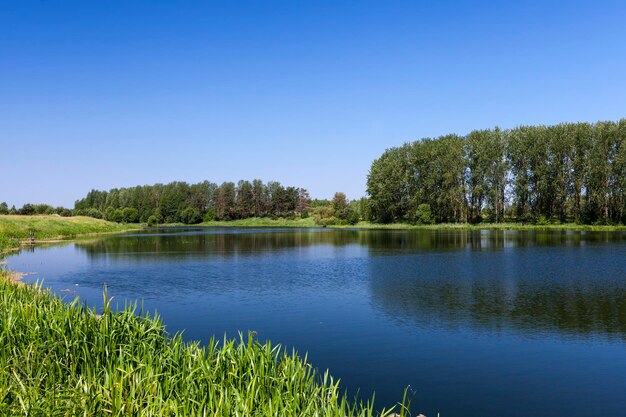 A summer landscape with river