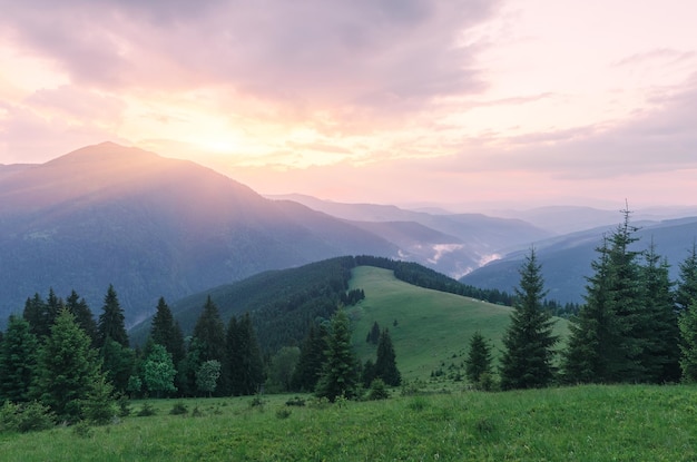 Summer landscape with the sunset in the mountains