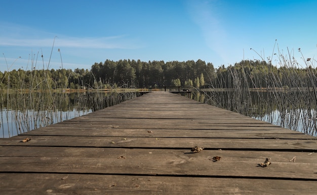 Summer landscape with wood long jetty or wooden pier in perspective way over lake or river forest on...