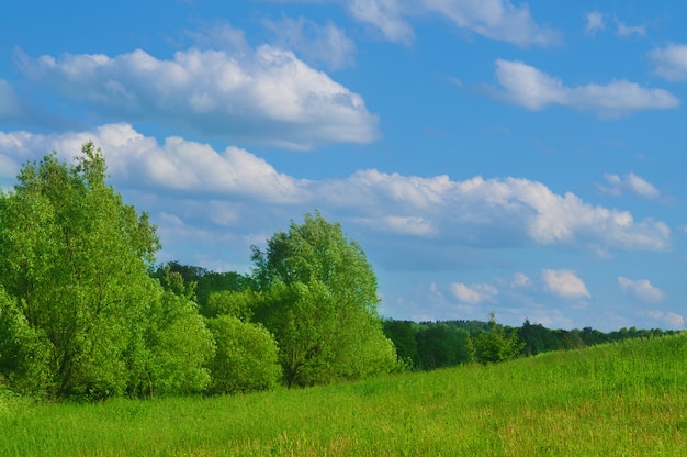 夏の風景