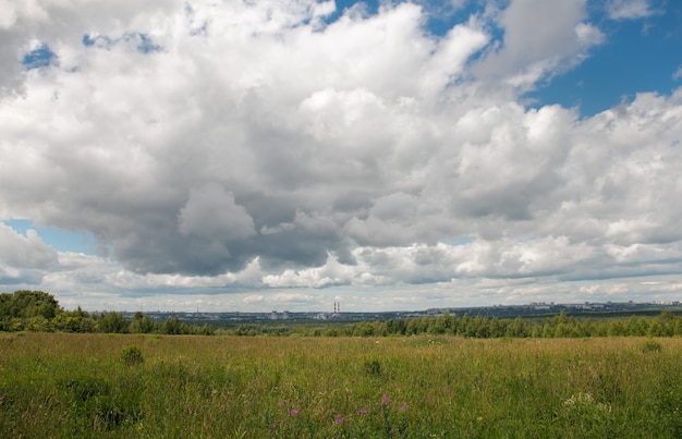 Summer landscape