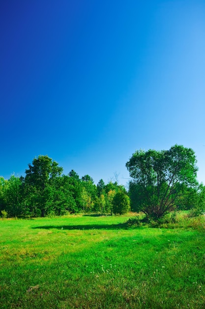 夏の風景