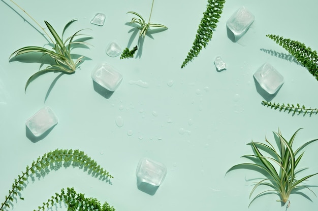 Summer mint green background with cold frozen ice cubes and leaves of house plants