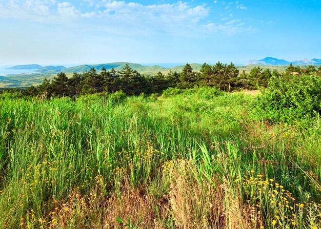 夏の霧の海岸の景色（クリミア、ウクライナ）