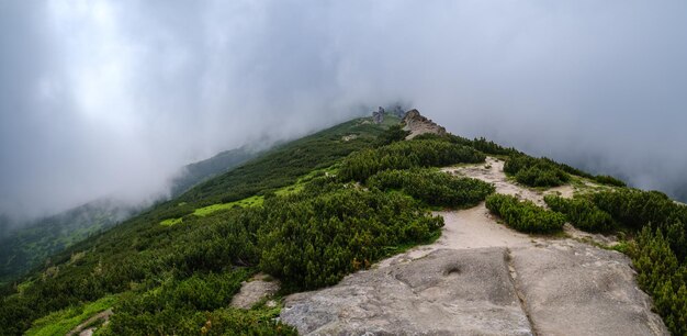 Summer misty morning Carpathian Mountains