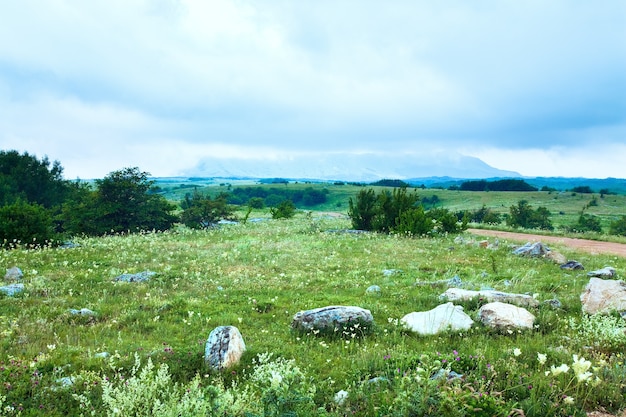 夏の霧深い山の景色