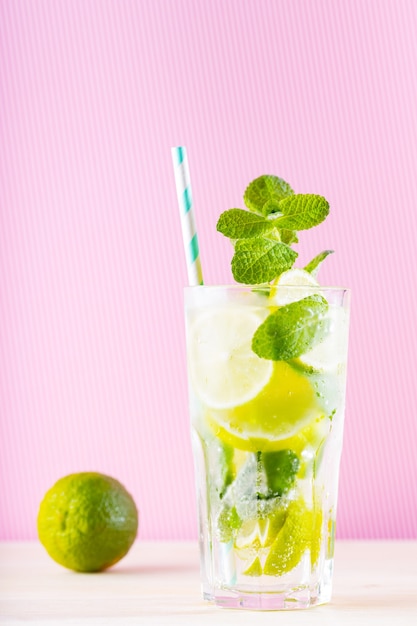 Summer mojito cocktail in a tall glass