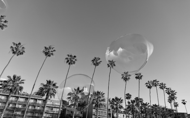 Summer mood with soap bubble blower fly in blue sky among palm trees in summer near houses bubble