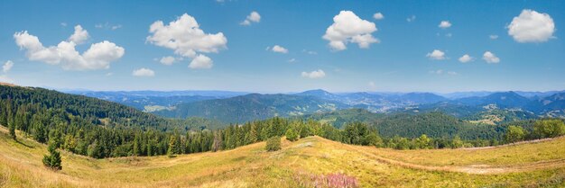 夏の山国のパノラマ ウクライナ カルパティア山脈