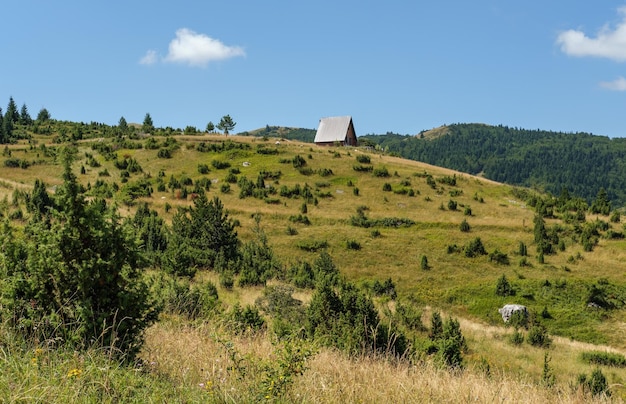 Summer mountain Durmitor National Park Montenegro