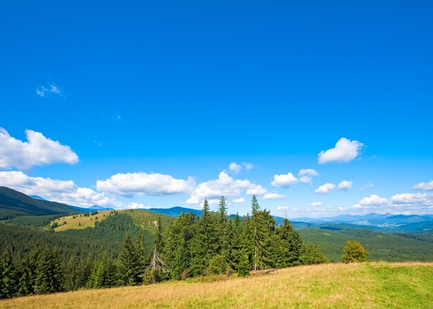 Summer mountain glade view (Carpathian, Ukraine)