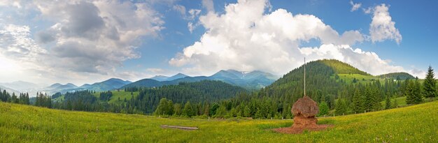 Фото Летний горный зеленый луг со стогом сена (карпаты, украина). образ сшивают семь кадров.