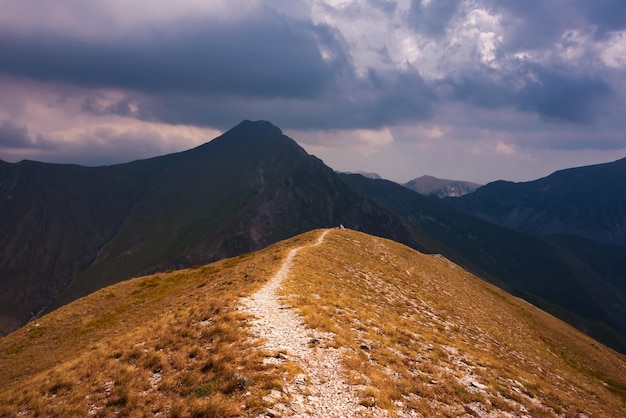 Summer mountain landscape beautiful nature in Italy