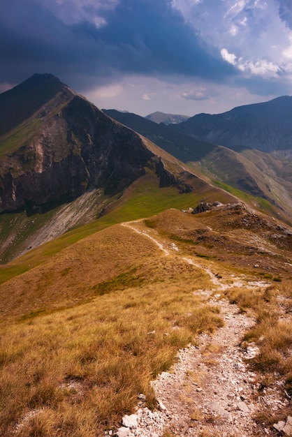 夏の山の風景イタリアの美しい自然