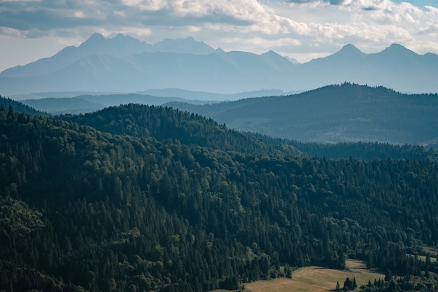 summer mountain landscape in Slovakia.