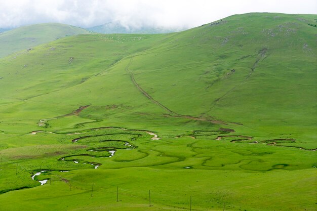 Summer Mountain Persembe Highland with Ordu - Turkey