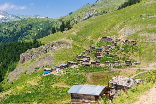 Summer Mountain Plateau Highland with Artvin, Turkey