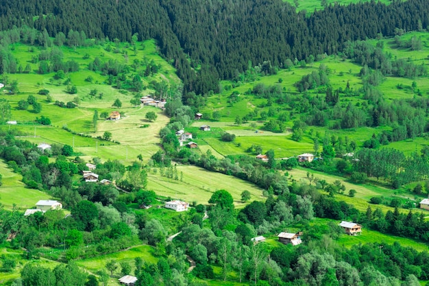 Summer Mountain Plateau Highland with Artvin, Turkey