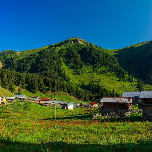 Summer Mountain Plateau Highland with Artvin  - Turkey