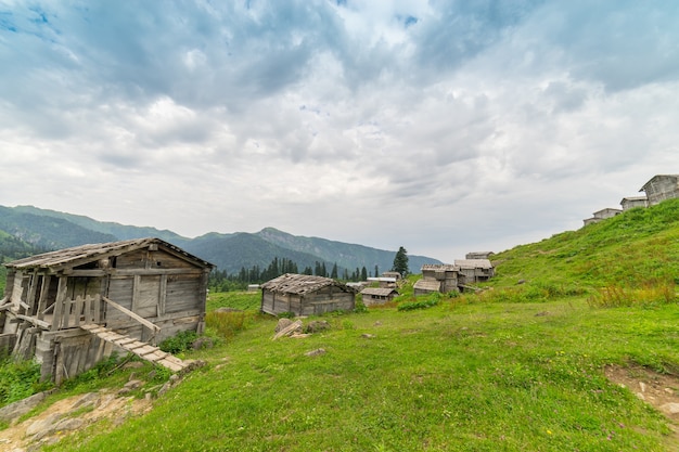 Summer Mountain Plateau Highland with Gorgit, Artvin, Turkey