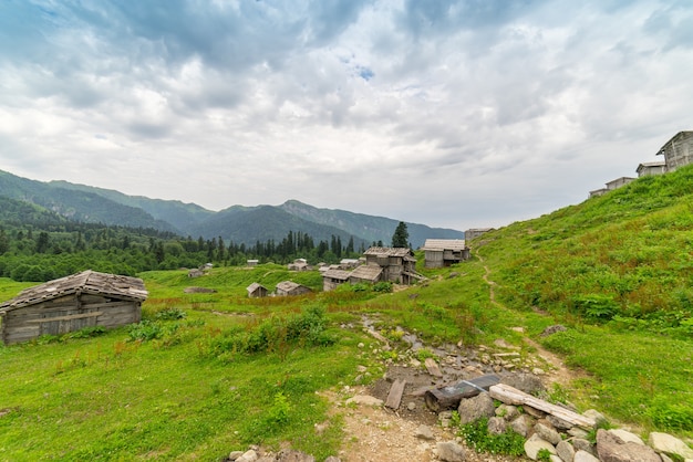 Summer Mountain Plateau Highland with Gorgit, Артвин, Турция