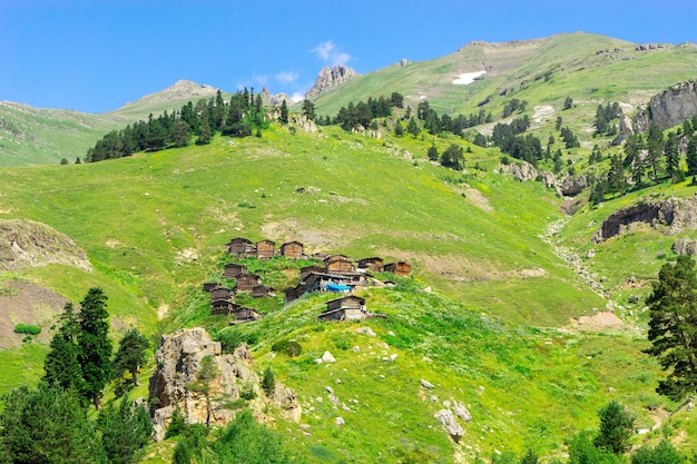 トルコ、アルトヴィンのある夏の山高原レコバン高原