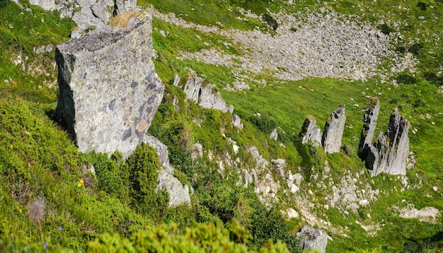 Summer mountain slope with picturesque rock formations Shpyci mountain Carpathian Ukraine