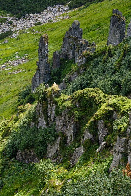 絵のように美しい岩層を持つ夏の山の斜面 Shpyci 山カルパティア ウクライナ