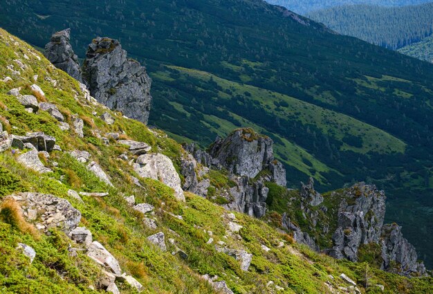 Summer mountain slope with picturesque rock formations Shpyci mountain Carpathian Ukraine