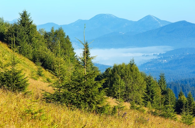 Summer mountain view (Carpathian, Kryvopillja, Verkhovyna district, Ivano-Frankivsk region, Ukraine).