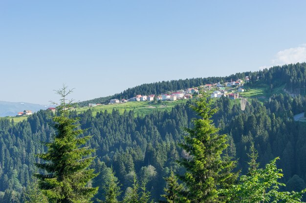 Summer Mountain view to Highland Giresun - Turkey