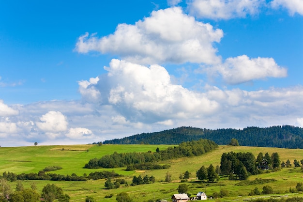 Summer mountain view with village outskirts