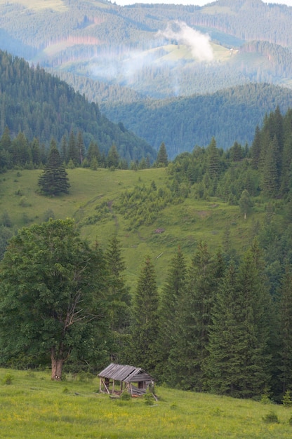 Summer mountain view with wooden shed on green meadow